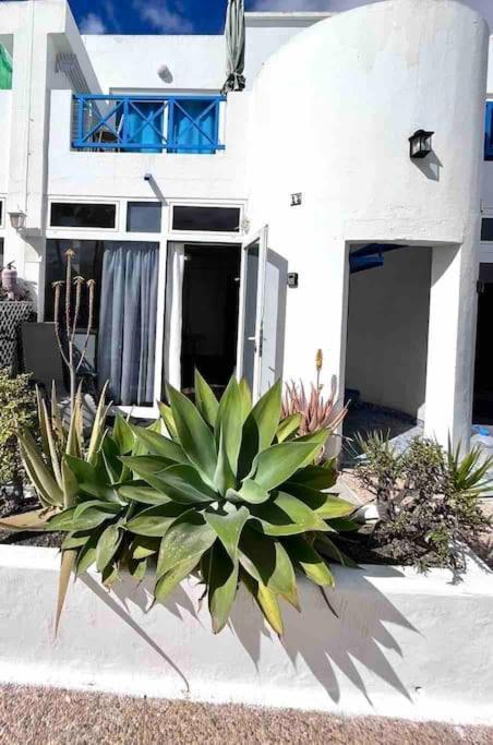 17 Puerto Del Carmen Blueshark Lägenhet Exteriör bild